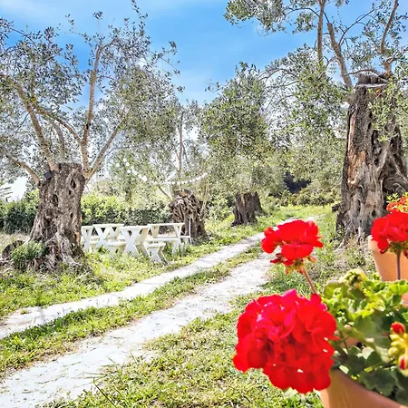 Kumquart Guesthouse, 20 People, Private Pool Tatil Evi