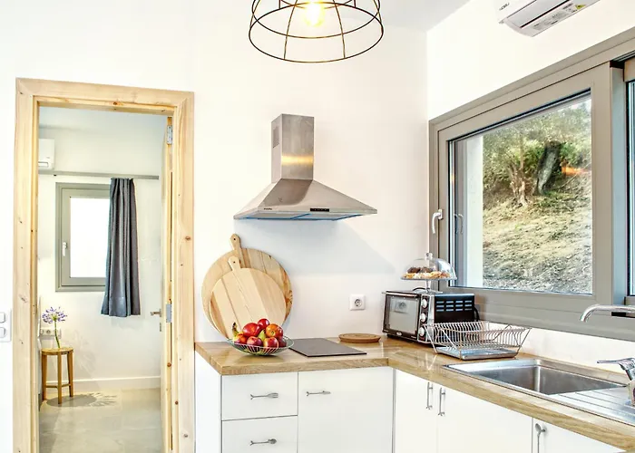 Kumquart Guesthouse, 20 People, Private Pool 펜션 Dáfni